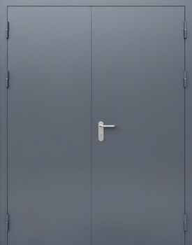 Двустворчатая противопожарная дверь с покраской серого цвета Двустворчатая противопожарная дверь с покраской серого цвета